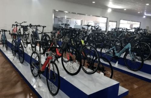 碳纖維車架的自行車海外訂單激增,市場(chǎng)向好